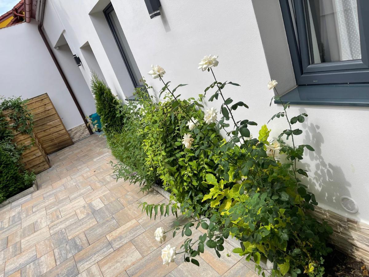 Mani Studio Sibiu Exteriör bild